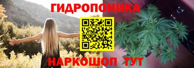 дживик Новокубанск