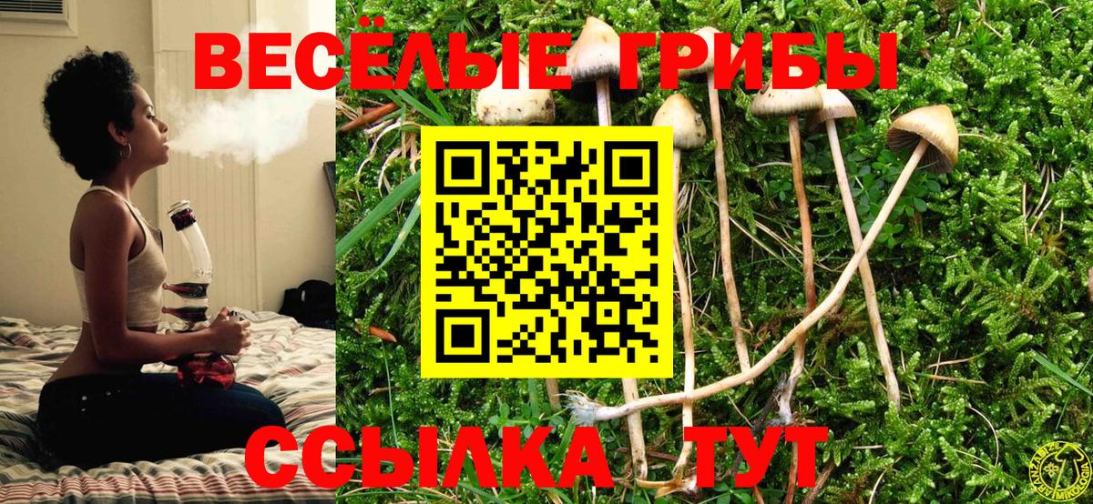 Славянск-на-Кубани  Галлюциногенные грибы Psilocybine cubensis  Вход с VPN 